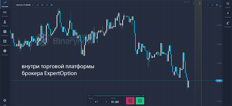 Начинка терминала ExpertOption